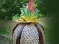 Exposition poterie